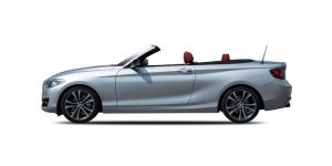 Immagine per ricambi Fendinebbia per BMW 2 Cabriolet (F23) (2014-Oggi)