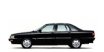 Immagine per ricambi Olio motore per AUDI