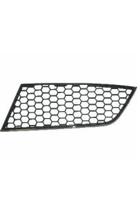 griglia paraurti autozona