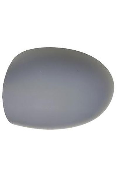 calotta da verniciare lato sinistro (conducente) depo 1023-800610