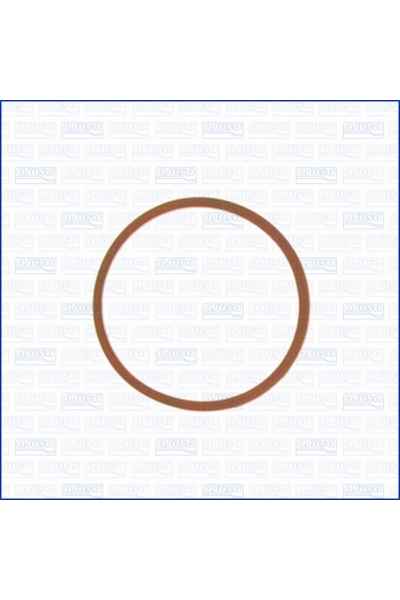 Guarnizione, Collettore aspirazione ajusa 139-13148400