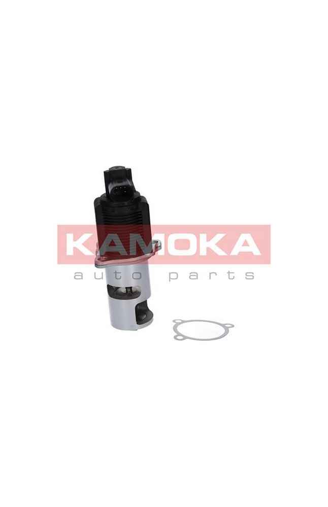 Valvola ricircolo gas scarico-EGR KAMOKA 185-19015