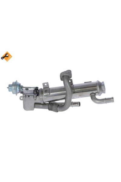 Modulo EGR NRF 48311