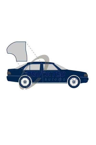 Guarnizione portiera TRUCKTEC AUTOMOTIVE 209-02.53.047