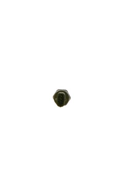 Sensore, pressione del carburante bosch 30-0 281 002 903