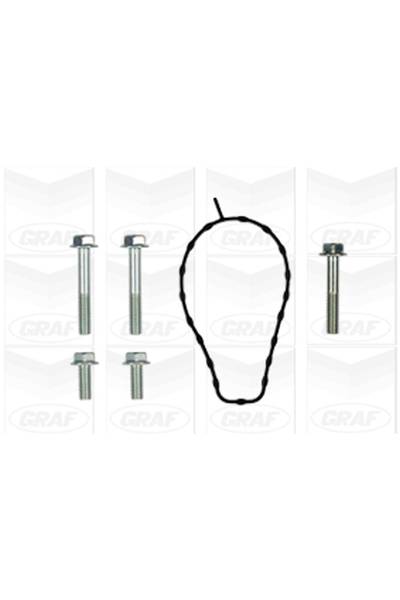 Pompa acqua graf 310-PA1020