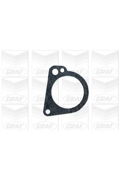 Pompa acqua graf 310-PA401