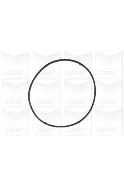 Pompa acqua graf 310-PA541A