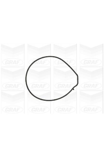 Pompa acqua graf 310-PA884