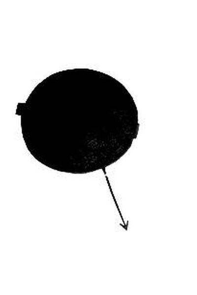 coprigancio anteriore iveco autozona 333-3819321