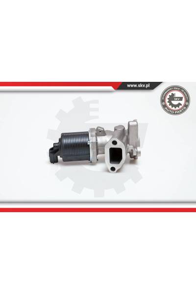 Valvola ricircolo gas scarico-EGR ESEN SKV 4969-14SKV014