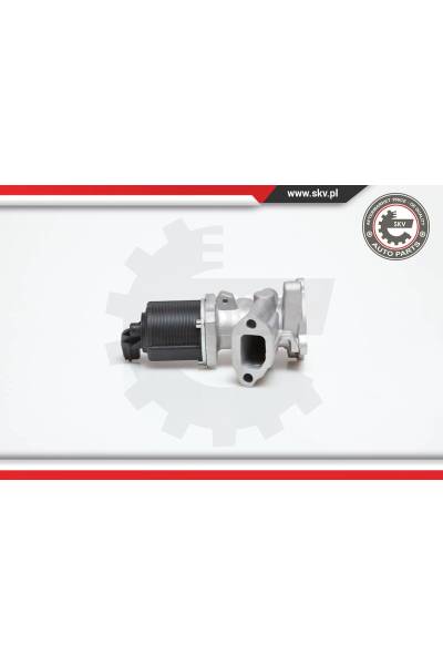 Valvola ricircolo gas scarico-EGR ESEN SKV 4969-14SKV031