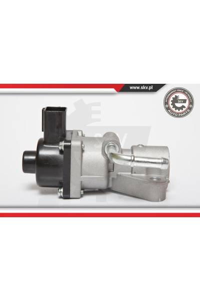 Valvola ricircolo gas scarico-EGR ESEN SKV 4969-14SKV047