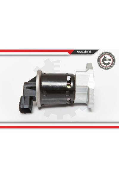 Valvola ricircolo gas scarico-EGR ESEN SKV 4969-14SKV070