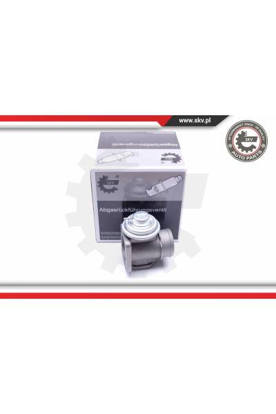 Valvola ricircolo gas scarico-EGR ESEN SKV 4969-14SKV174