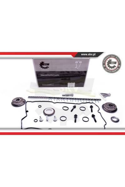 Kit catena distribuzione ESEN SKV 4969-21SKV117