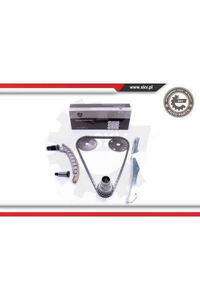 Kit catena distribuzione ESEN SKV 4969-21SKV142