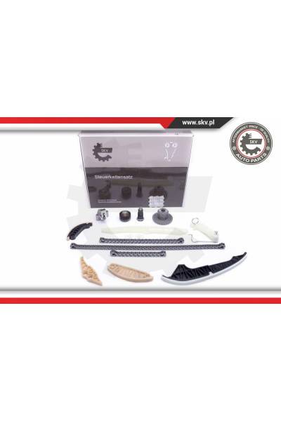 Kit catena distribuzione ESEN SKV 4969-21SKV162
