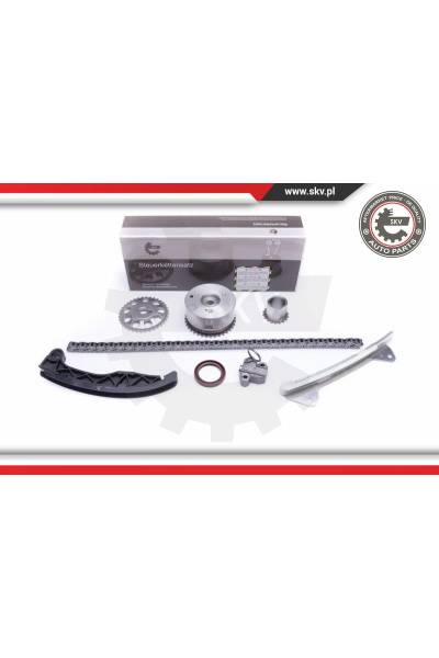 Kit catena distribuzione ESEN SKV 4969-21SKV229