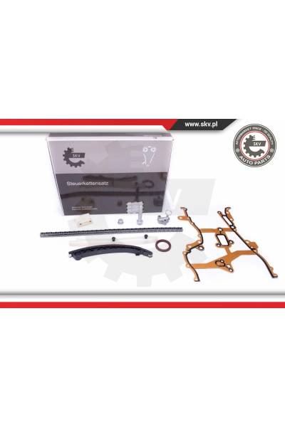 Kit catena distribuzione ESEN SKV 4969-21SKV238