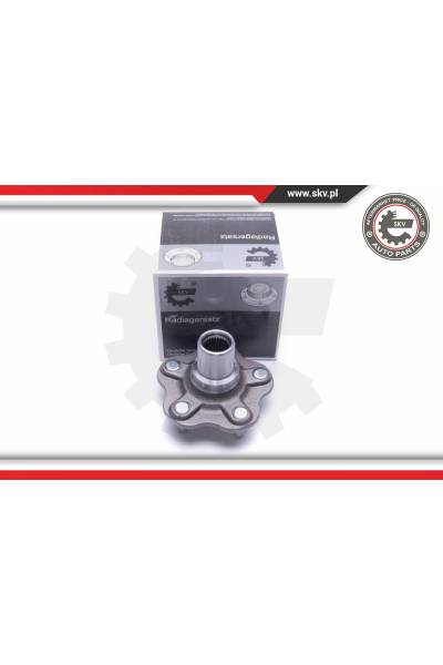 Kit cuscinetto ruota ESEN SKV 4969-29SKV430