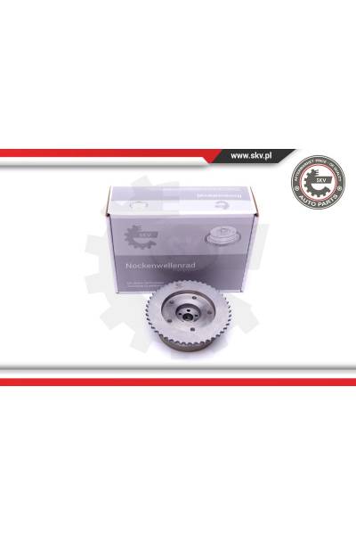 Regolatore albero a camme ESEN SKV 4969-39SKV502