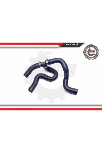 Flessibile olio ESEN SKV 4969-43SKV617