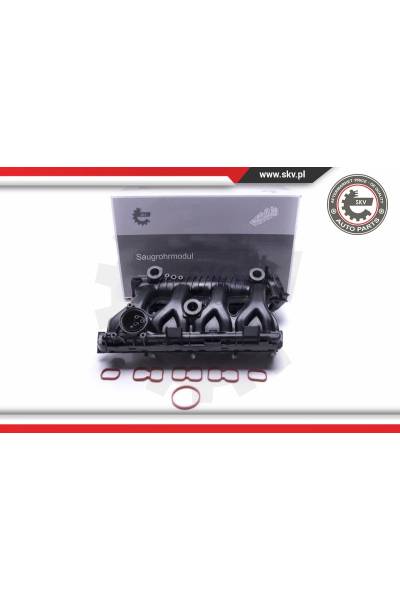 Modulo collettore aspirazione ESEN SKV 4969-49SKV025