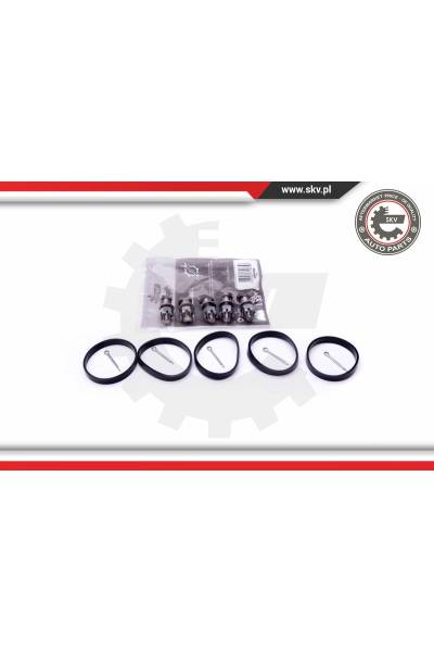 Kit riparazione, modulo collettore aspirazione ESEN SKV 4969-49SKV524