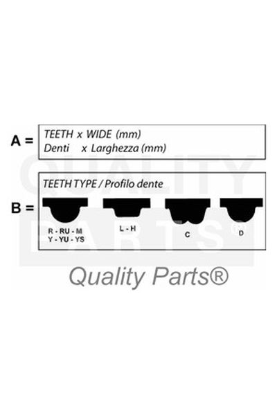 CINGHIA DISTRIBUZIONE Z154x25RU IAP 128-12032