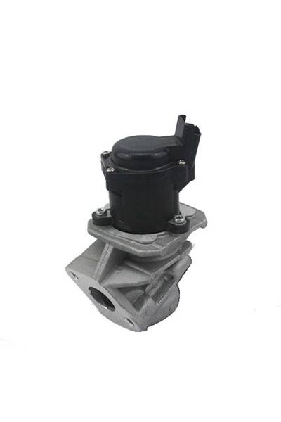 Valvola ricircolo gas scarico-EGR magneti marelli 95-571822112029