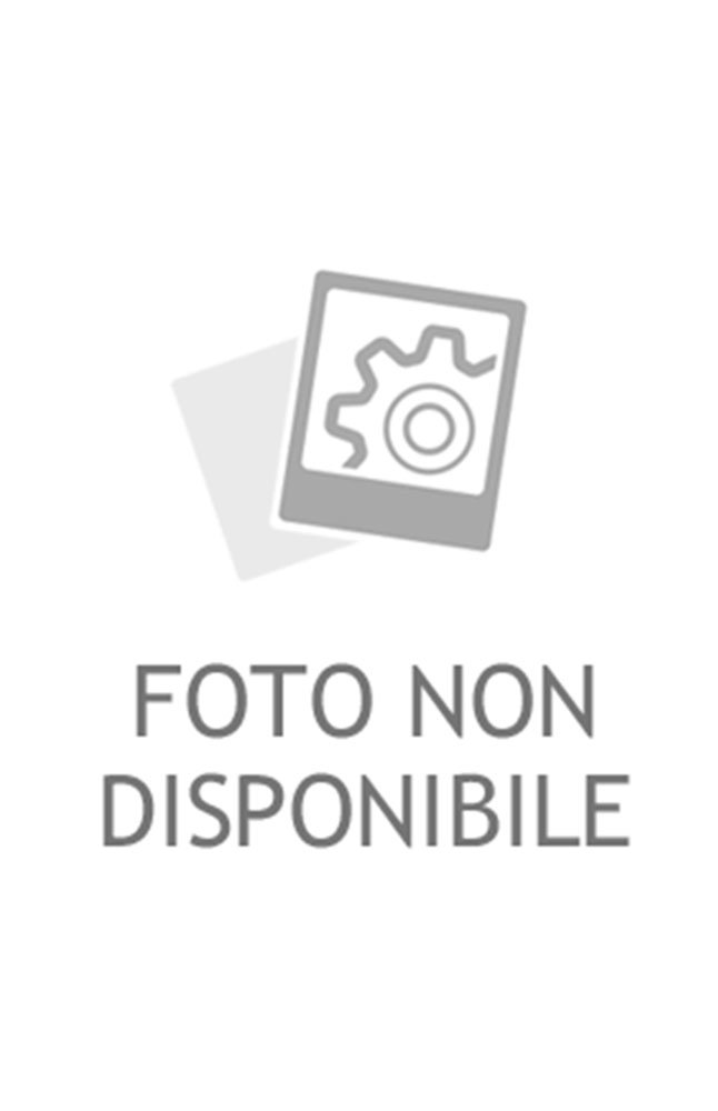 guarnizione, parabrezza pilkington 6709asrc1h