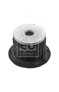 Supporto, Corpo assiale febi-bilstein