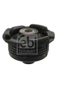 Supporto, Corpo assiale febi-bilstein
