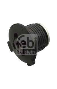 Supporto, Corpo assiale febi-bilstein