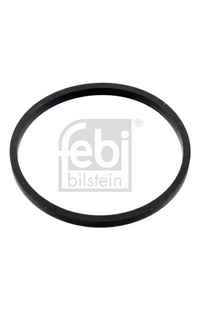 Guarnizione, Termostato febi-bilstein