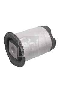 Supporto, Corpo assiale febi-bilstein