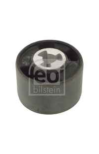 Supporto, Corpo assiale febi-bilstein