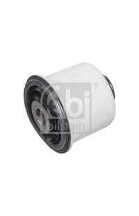 Supporto, Corpo assiale febi-bilstein