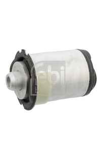 Supporto, Corpo assiale febi-bilstein
