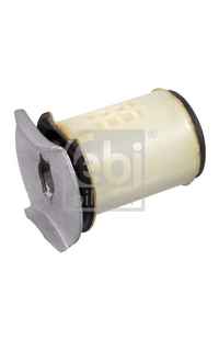 Supporto, Corpo assiale febi-bilstein