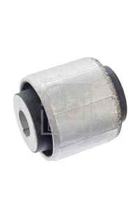 Supporto, Corpo assiale febi-bilstein