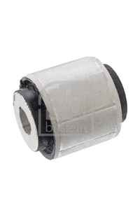 Supporto, Corpo assiale febi-bilstein