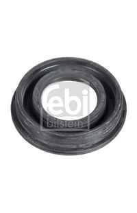 Guarnizione, Portapolverizzatore febi-bilstein