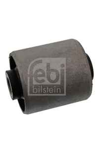 Supporto, Corpo assiale febi-bilstein