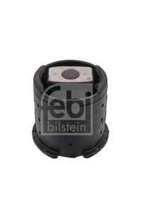 Supporto, Corpo assiale febi-bilstein