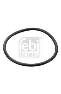 Guarnizione, Termostato febi-bilstein