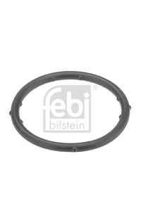 Guarnizione, Flangia refrigerante febi-bilstein