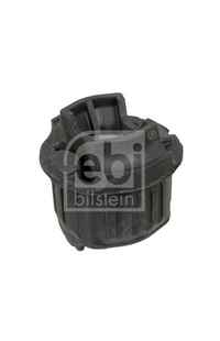 Supporto, Corpo assiale febi-bilstein