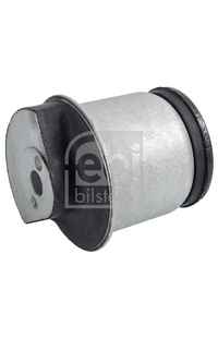 Supporto, Corpo assiale febi-bilstein